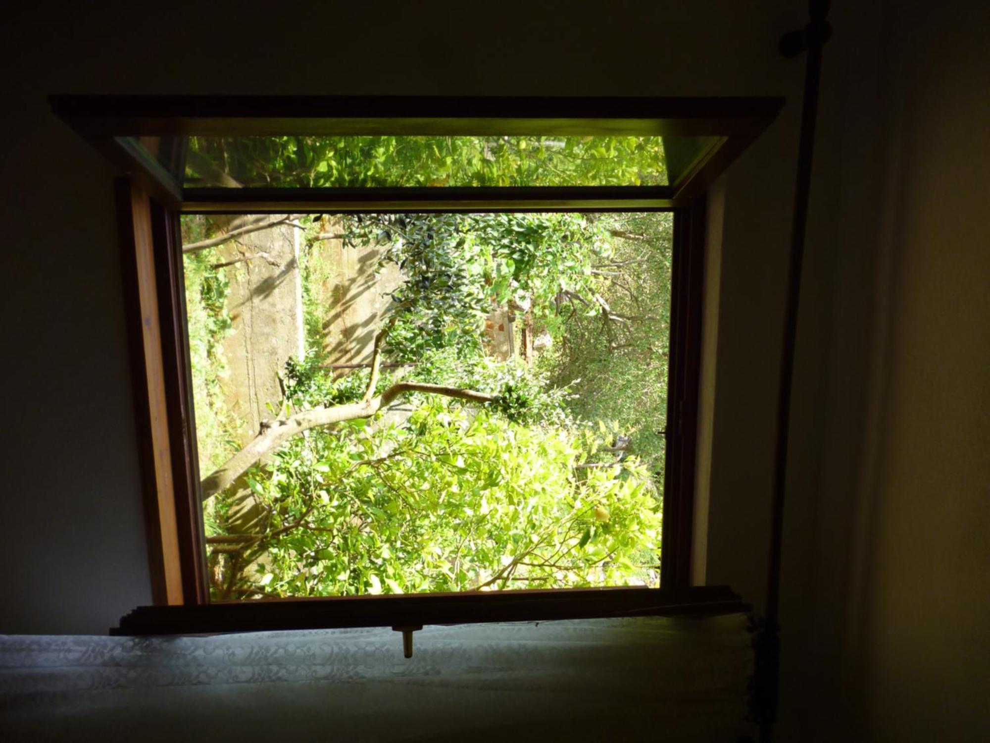 Picic Guesthouse Luka Kültér fotó